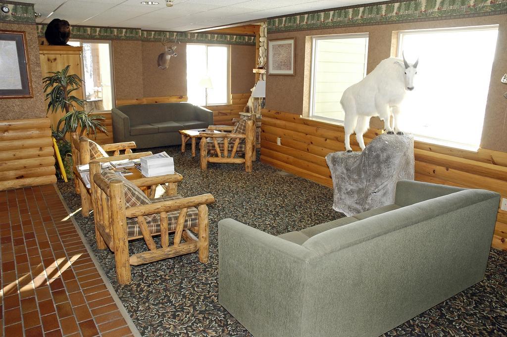 Pellston Lodge מראה חיצוני תמונה